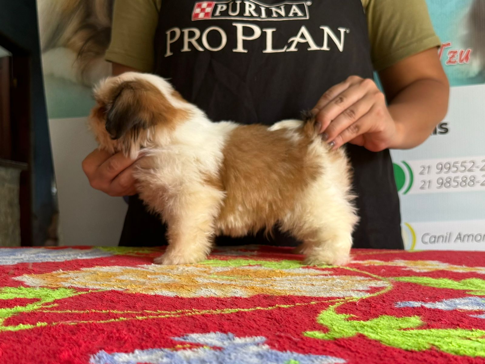 WhatsApp Image 2024-05-15 at 12.46.42 (1).jpeg