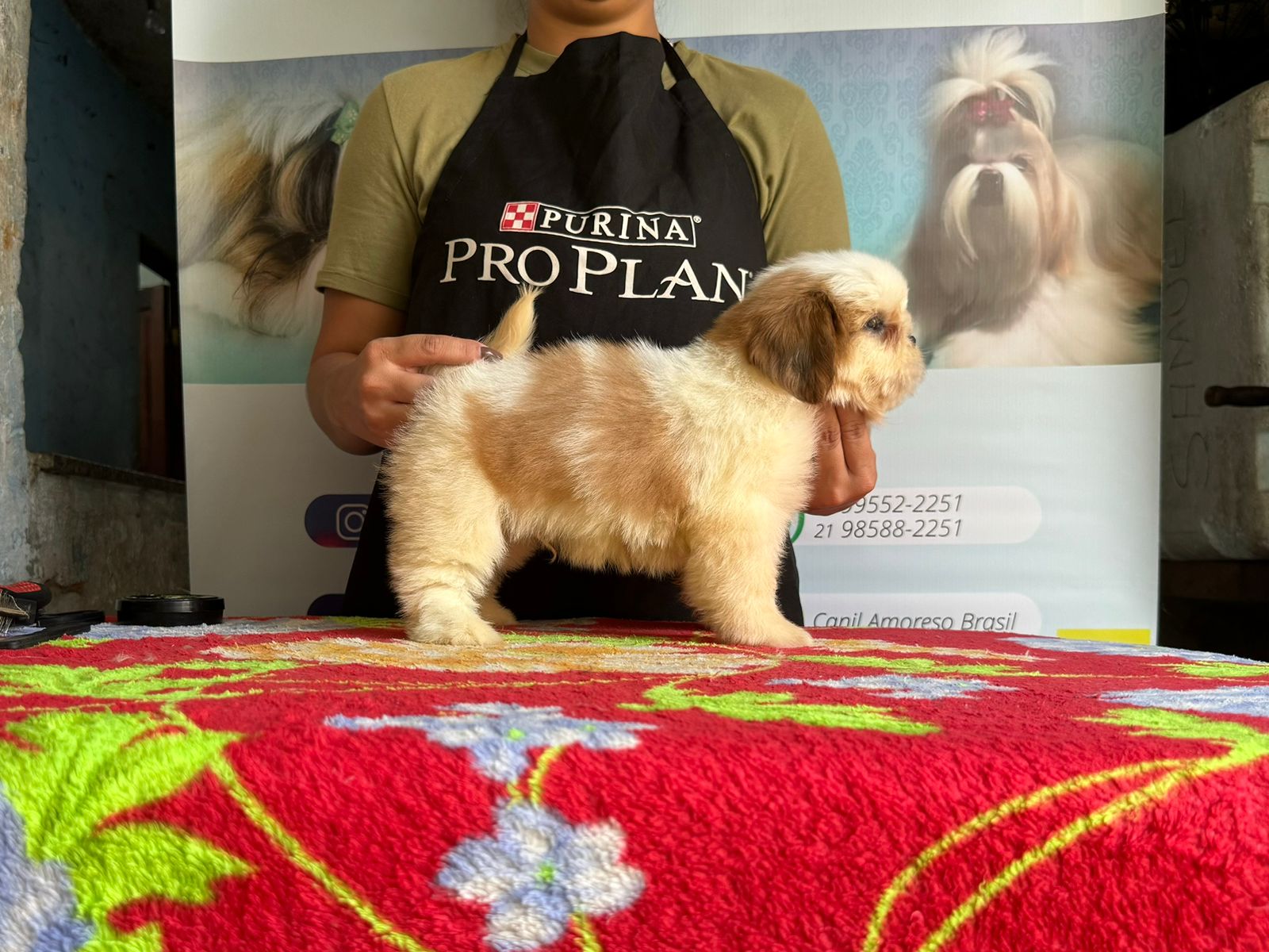 WhatsApp Image 2024-05-15 at 12.46.55 (1).jpeg