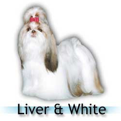 liver_and_white.jpg