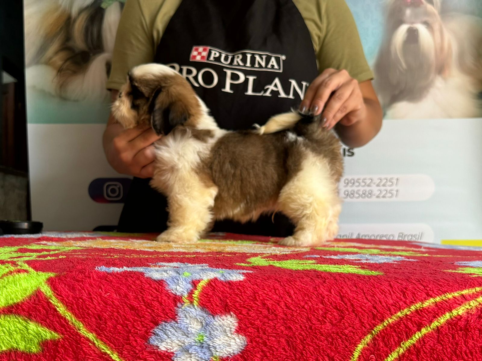 WhatsApp Image 2024-05-15 at 12.47.05 (1).jpeg