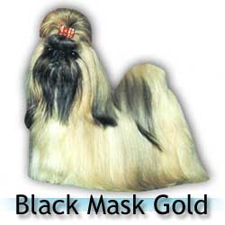 black_mask_gold.jpg