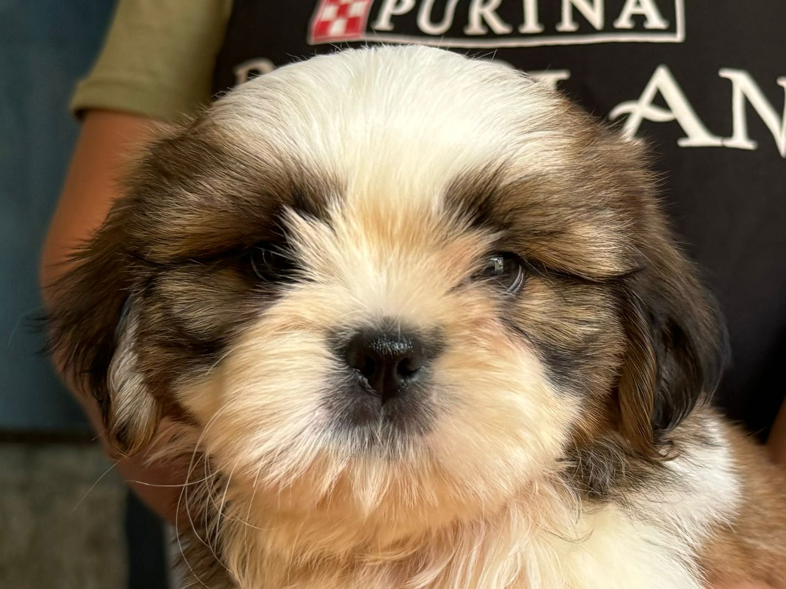 WhatsApp Image 2024-05-15 at 12.47.05.jpeg