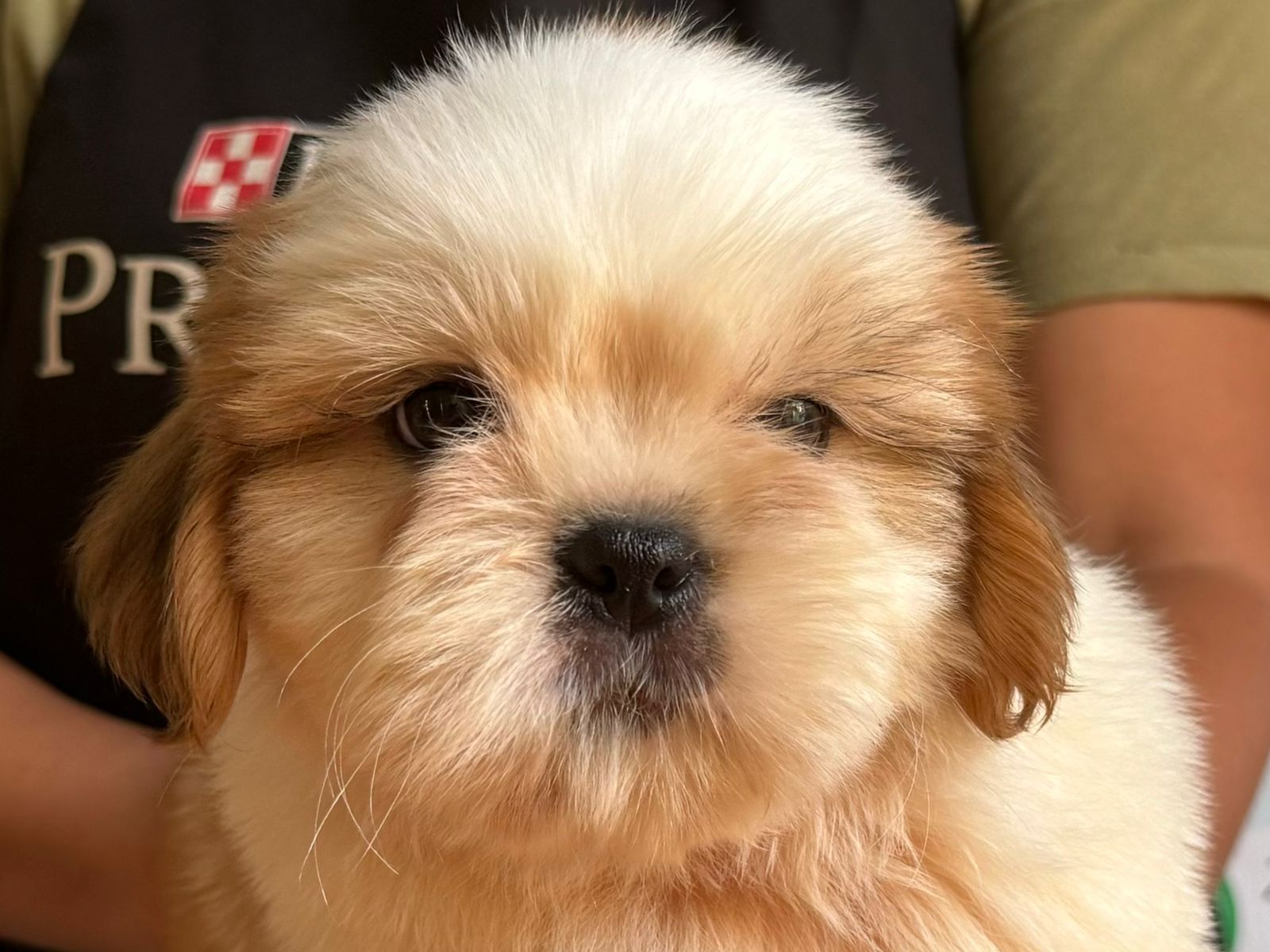 WhatsApp Image 2024-05-15 at 12.46.54.jpeg