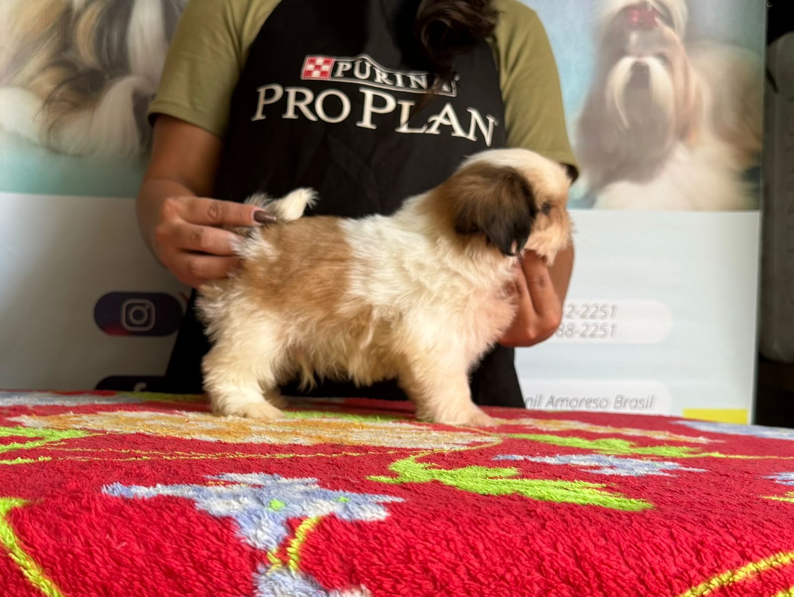 WhatsApp Image 2024-05-15 at 12.46.43.jpeg