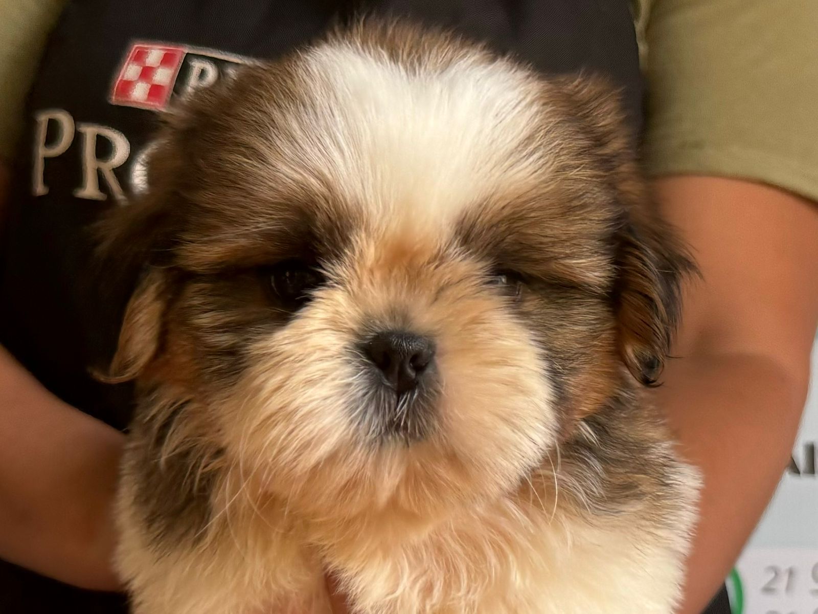 WhatsApp Image 2024-05-15 at 12.47.17.jpeg