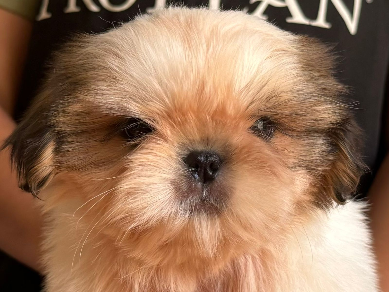 WhatsApp Image 2024-05-15 at 12.46.42.jpeg