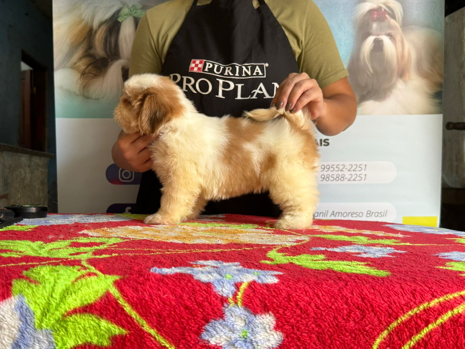 WhatsApp Image 2024-05-15 at 12.46.55.jpeg