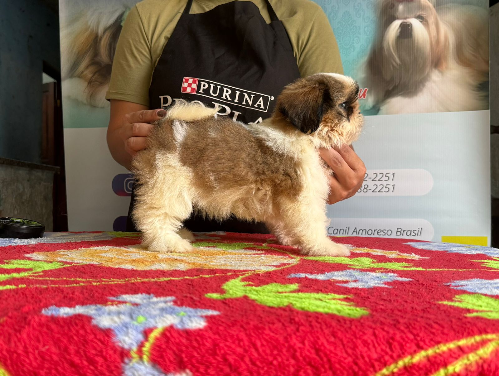 WhatsApp Image 2024-05-15 at 12.47.30 (2).jpeg