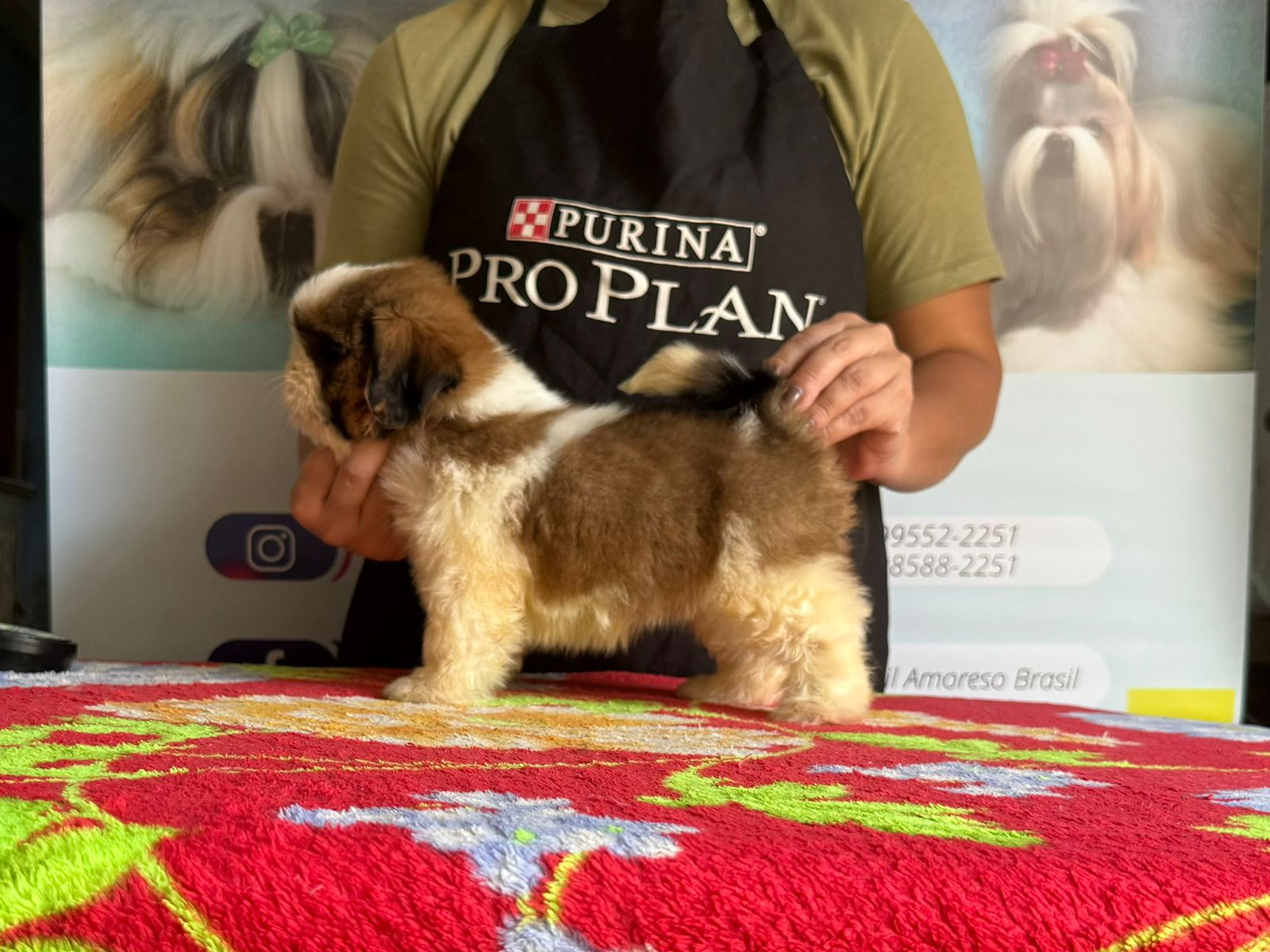 WhatsApp Image 2024-05-15 at 12.47.18.jpeg