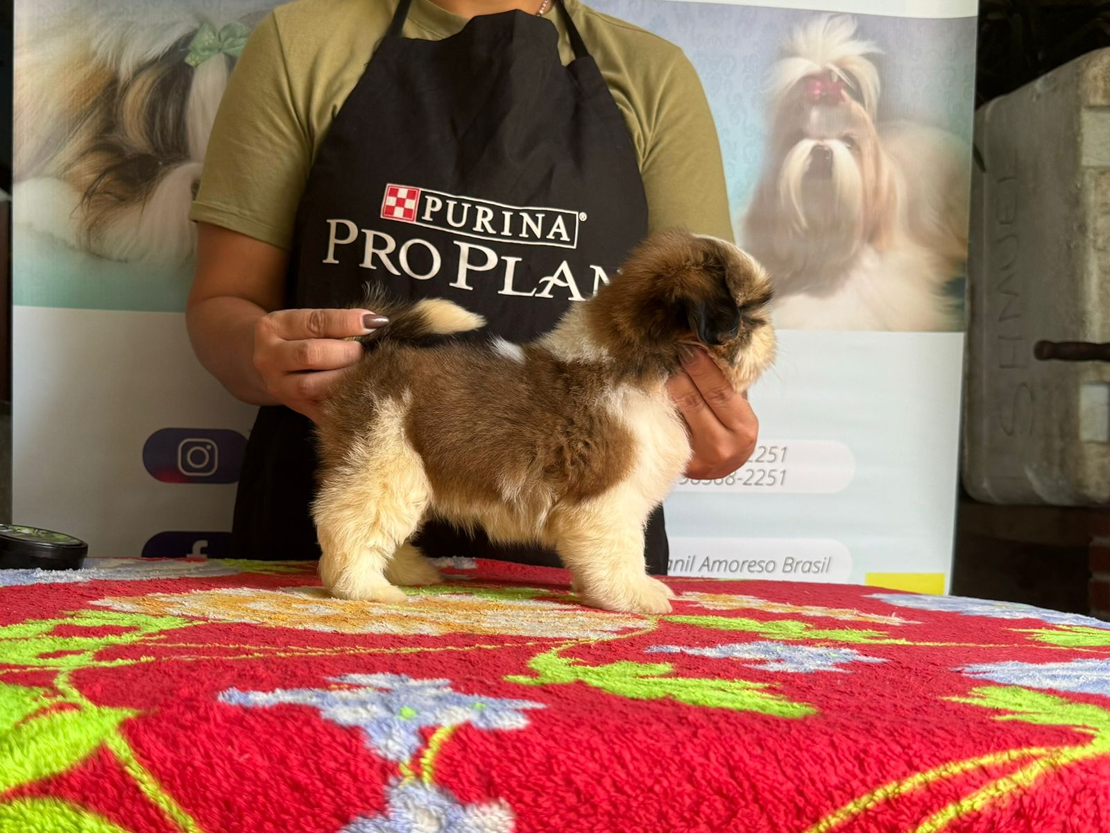 WhatsApp Image 2024-05-15 at 12.47.18 (1).jpeg