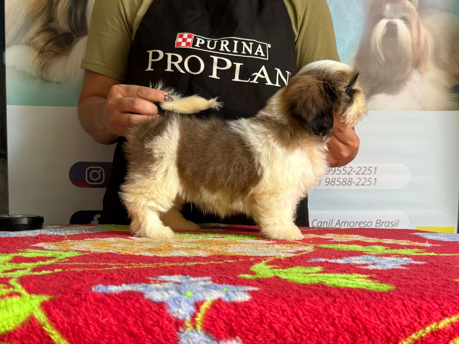 WhatsApp Image 2024-05-15 at 12.47.07.jpeg