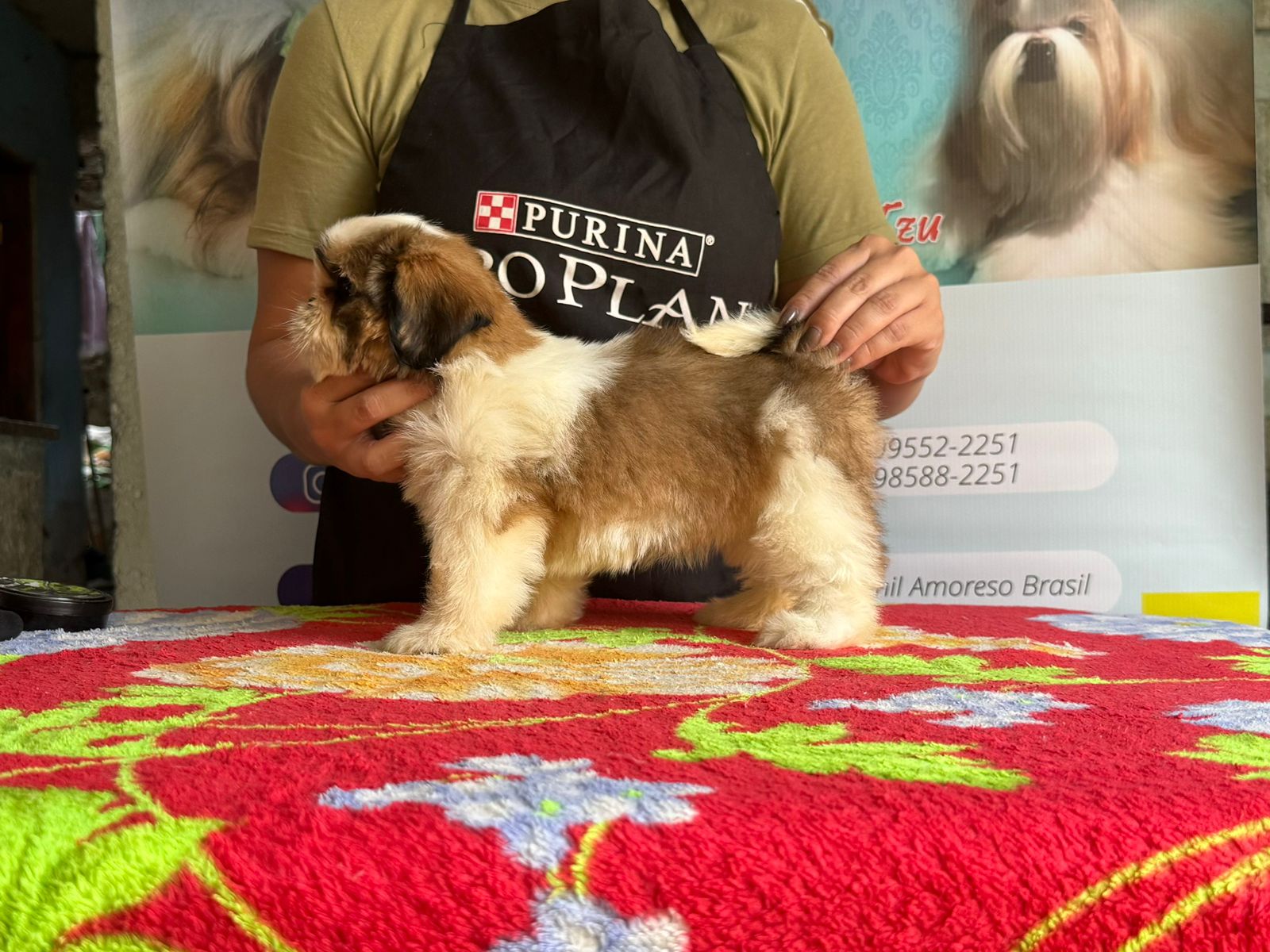 WhatsApp Image 2024-05-15 at 12.47.30 (1).jpeg