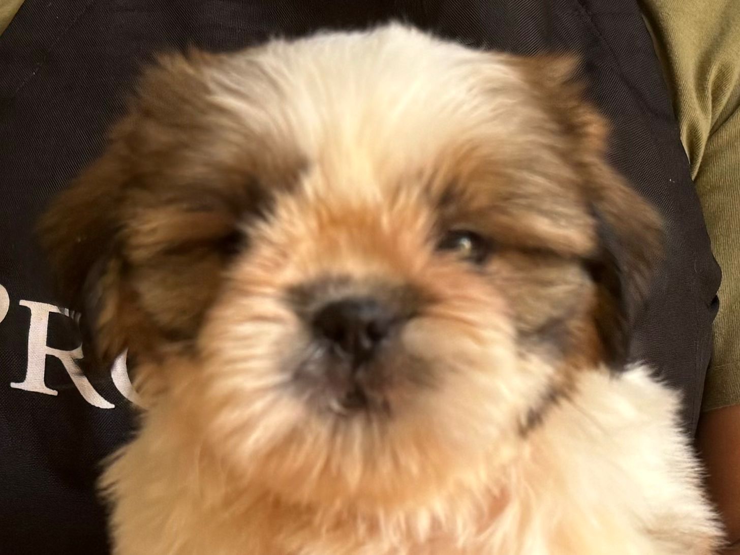 WhatsApp Image 2024-05-15 at 12.47.30.jpeg