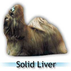 solid_liver.jpg